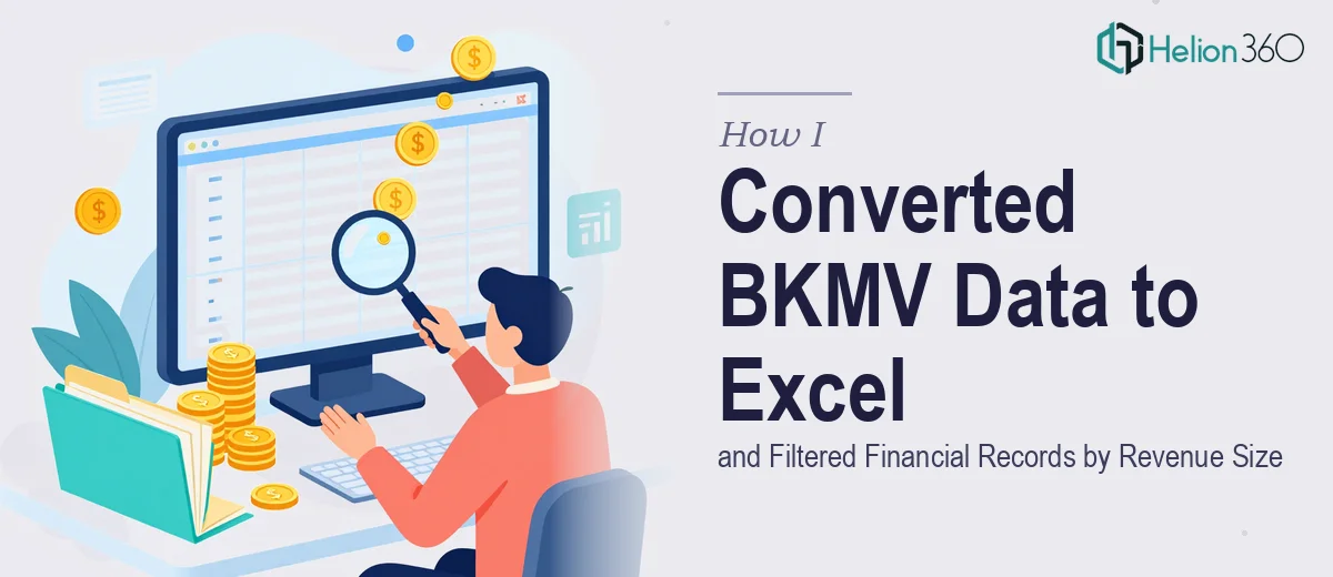 How I Converted BKMV Data to Excel and Filtered Financial Records by Revenue Size